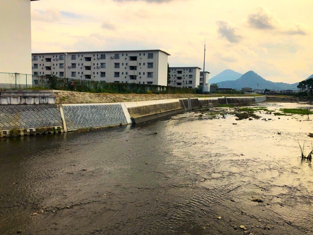 （防災・安全社会資本整備交付金）広域河川　弘田川　改修工事/重成土建